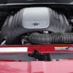 Meet your Posher, Ralph